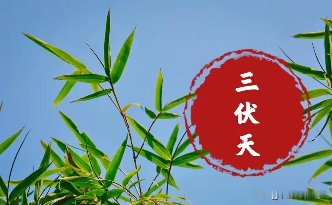 7月15日入伏！今年三伏天有3个特殊之处，叮嘱家人吃3样，忌2样
 
7月15日
