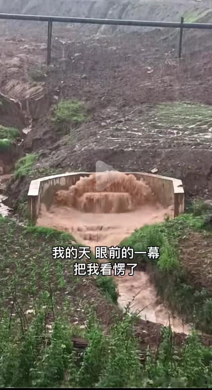 看到“祖坟冒水”的场景，我一时懵了。“祖坟冒青烟”向来象征好运，如今冒的却是水，