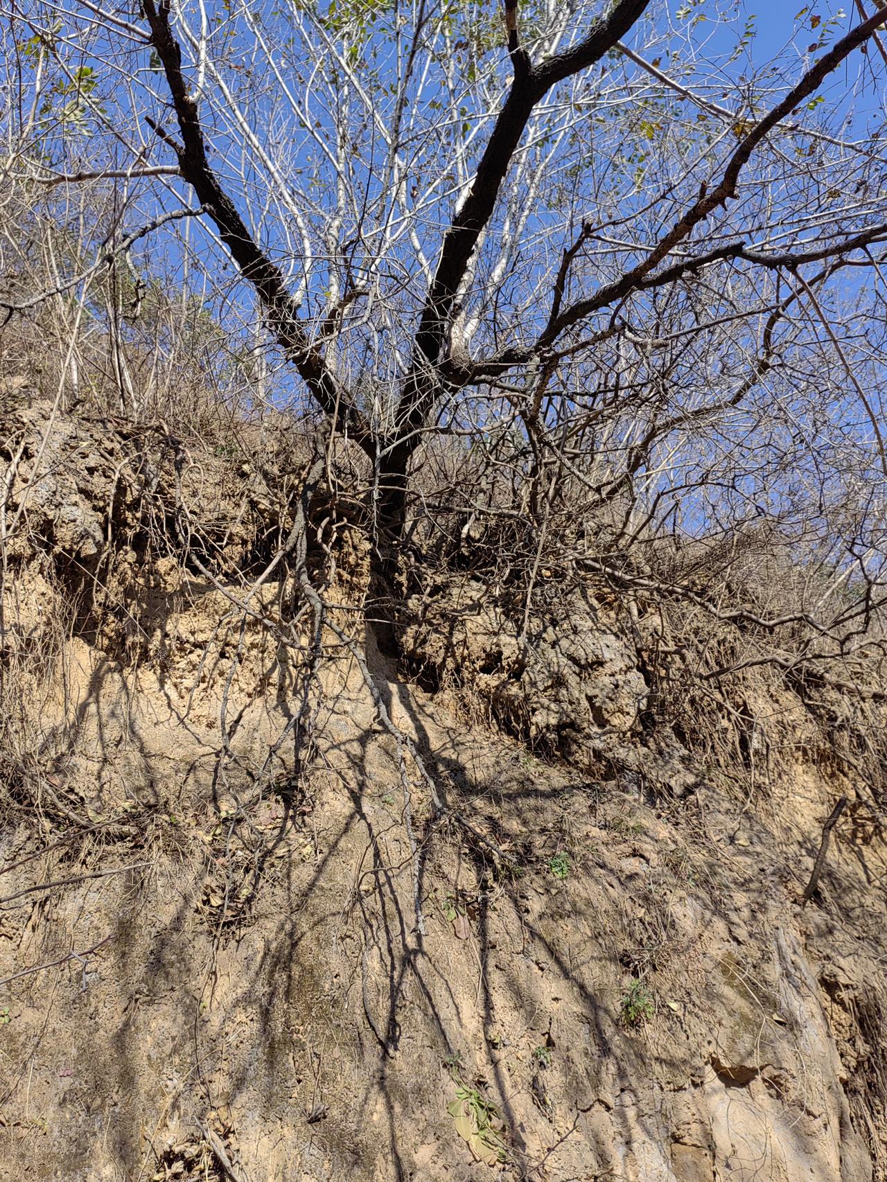袁崇焕开始放言“五年平辽”是在欺骗崇祯吗？肯定不是。
在抵御努尔哈赤时期，袁崇焕