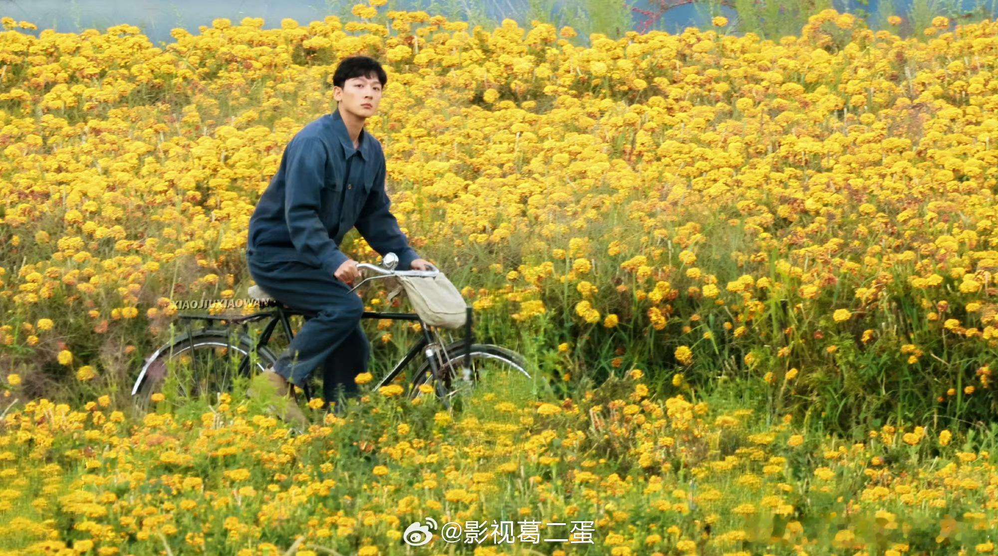 张晚意，你怎么这么厉害！扛剧生是这样的，难怪很多导演抢着要，很多演员穷其一生演不