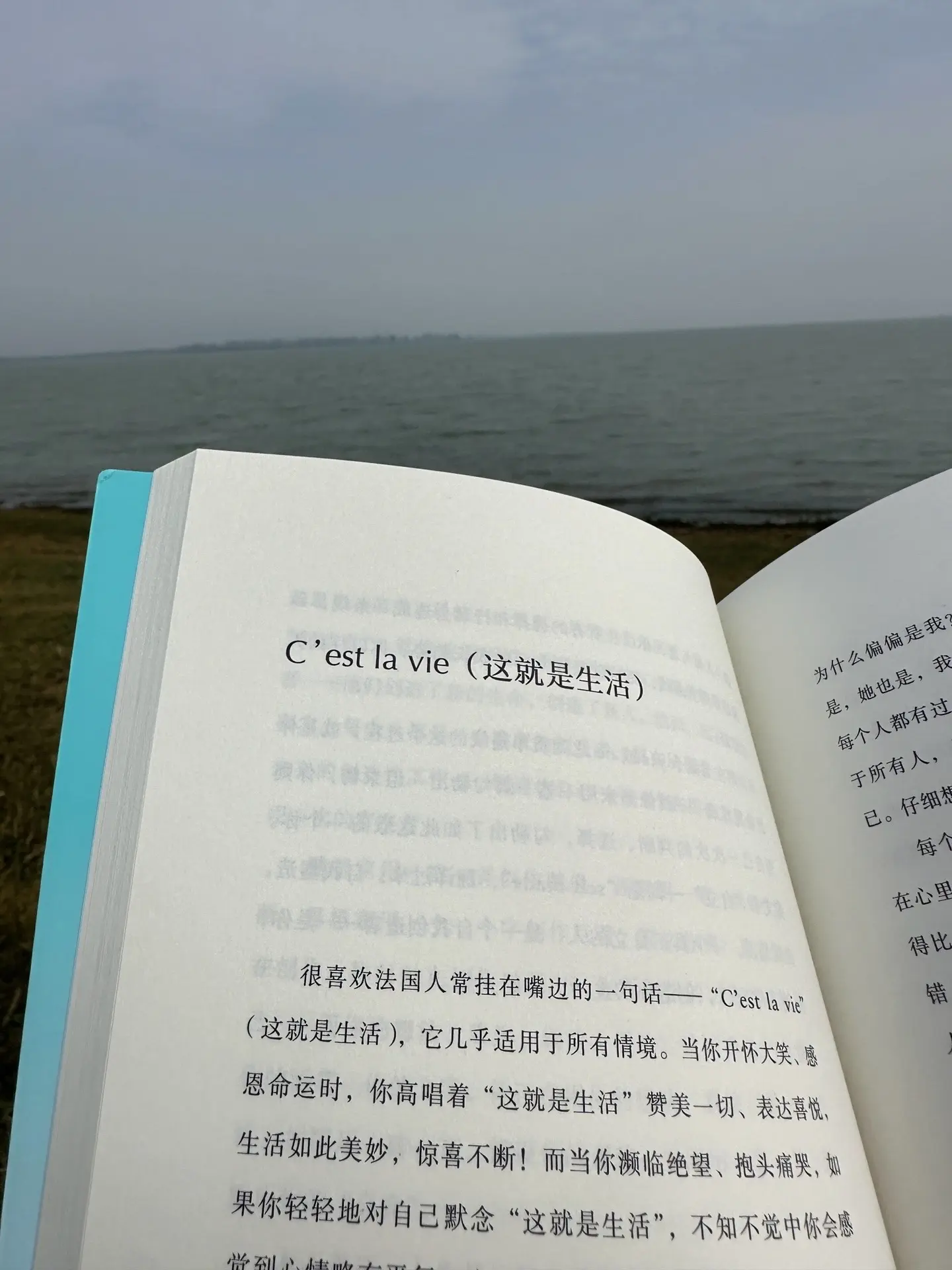 什么是好的孤独， 如何在婚姻中， 面对孤独？