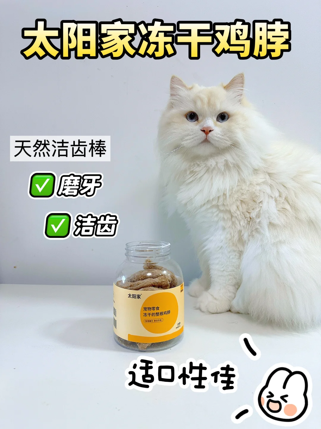 如何对待不爱刷牙的小猫