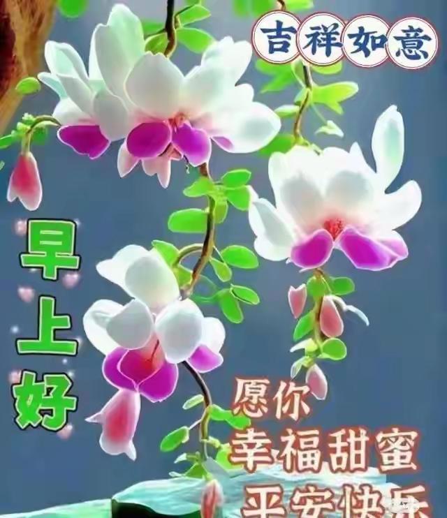 南浦诗联微信群交流录19

鹧鸪天  卢氏县委七十岁老平房办公
文/李方桃

县