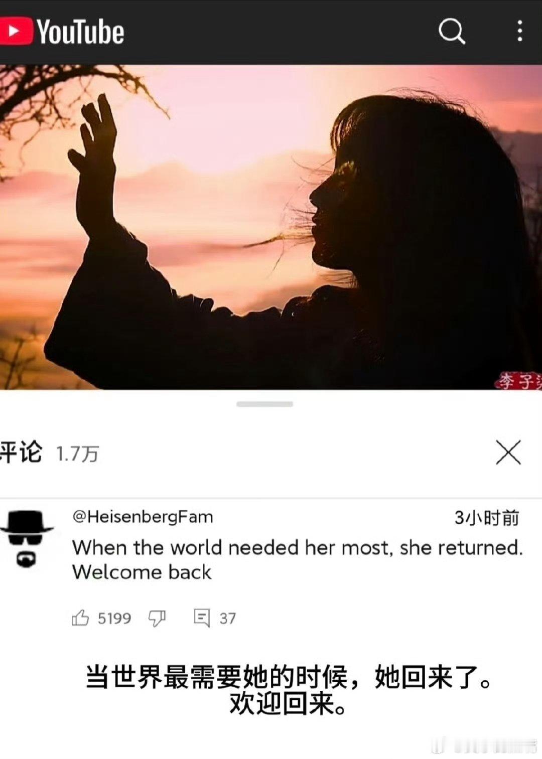 李子柒评论区 世界大和谐 这样的画面是全世界都希望看到的吧，也希望可以多多看到李