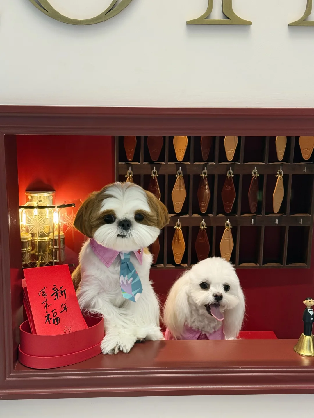 要像狐尼克一样自信！