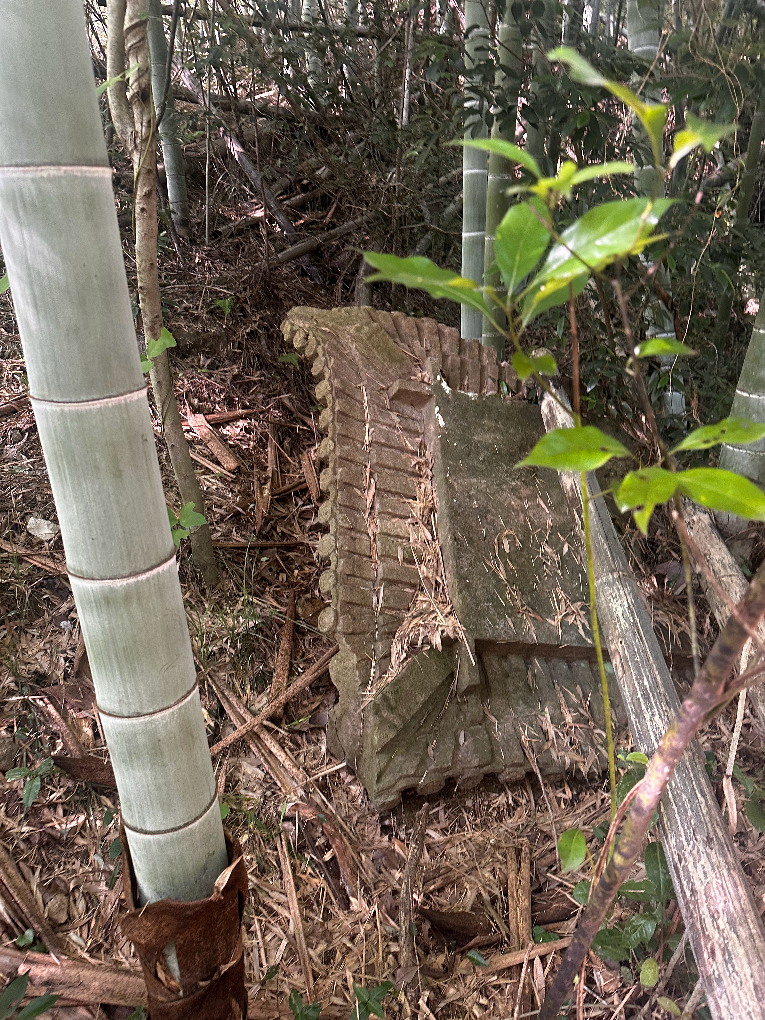 史弥远墓大量南宋石构件散落于现在的享堂正后方山坡上，竹林比较干净，探访没啥难度。