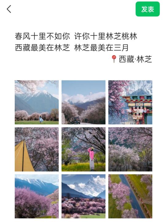 2025年3月底一定要去林芝看桃花，刷爆朋友圈