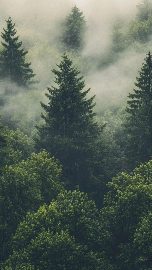 iPhone高质量壁纸 