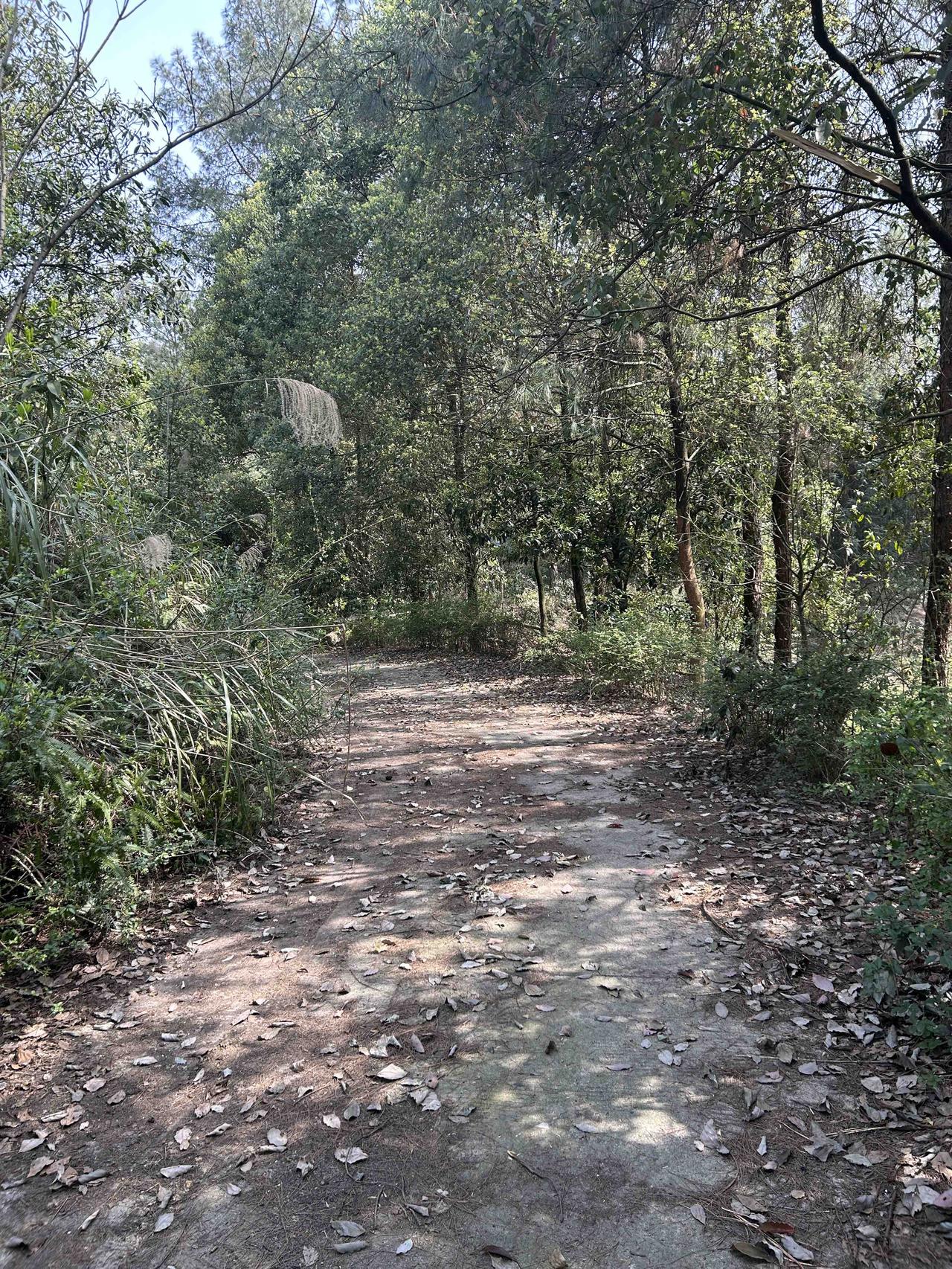 人与人之间，有些时候，有些误会是很难说清楚，消除更不容易。
    一个在外省的