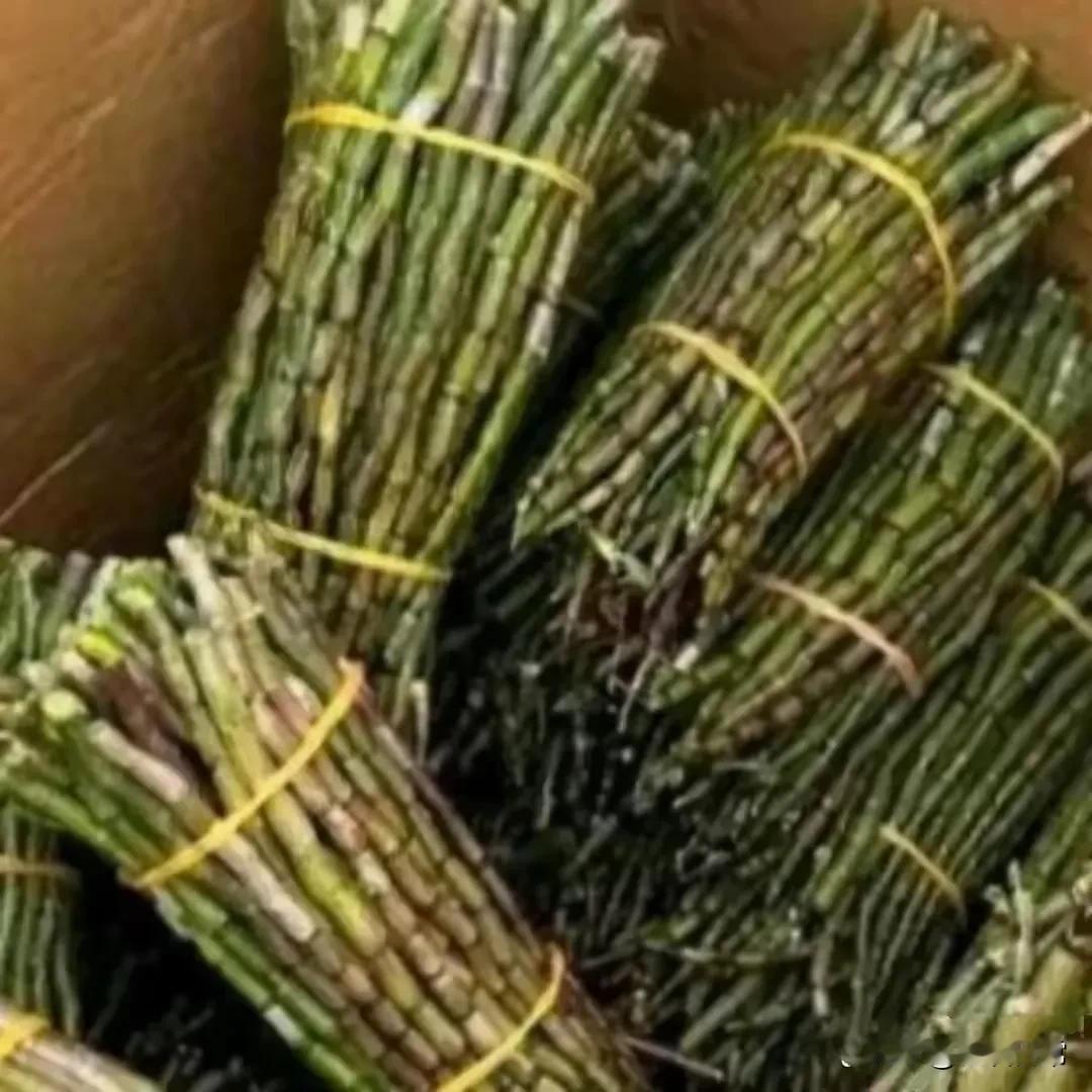 在广州很多地方，都看到有这个一梱一梱的，好像是甘遮那样的东西卖，听说这东还可以用