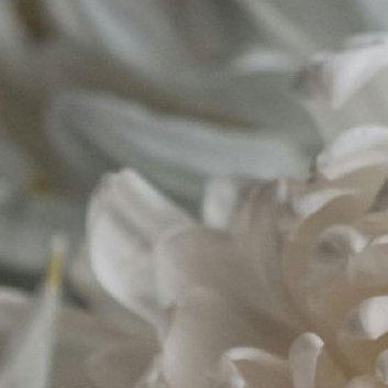 阳光信用‎阳光‎信用 ‎每日一善 忙时尽兴，闲时有趣，愿你做一个满载能量的人，在