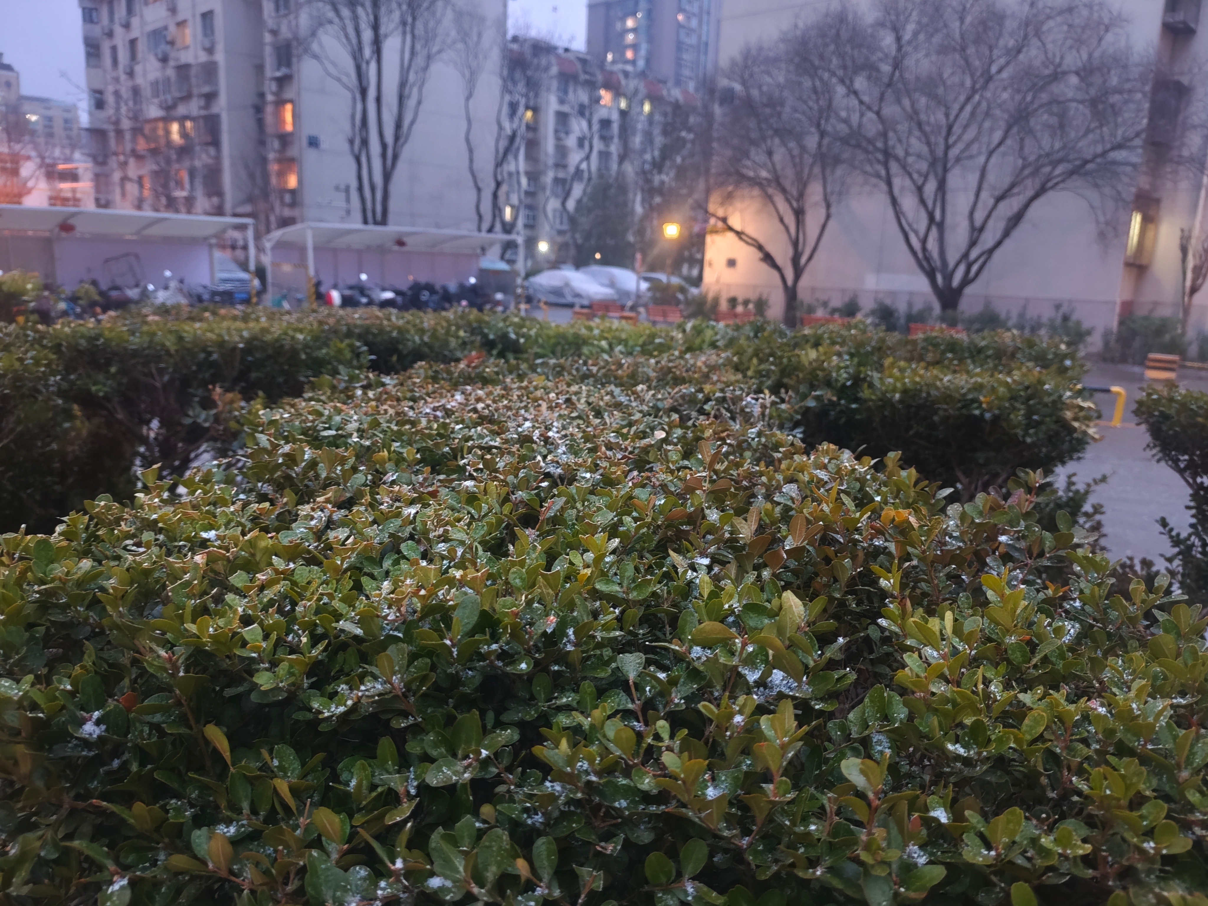 我妈说：春天草滋芽时，孩子们容易生病。近期确实感到有些孩子生病频率高了。主要问题