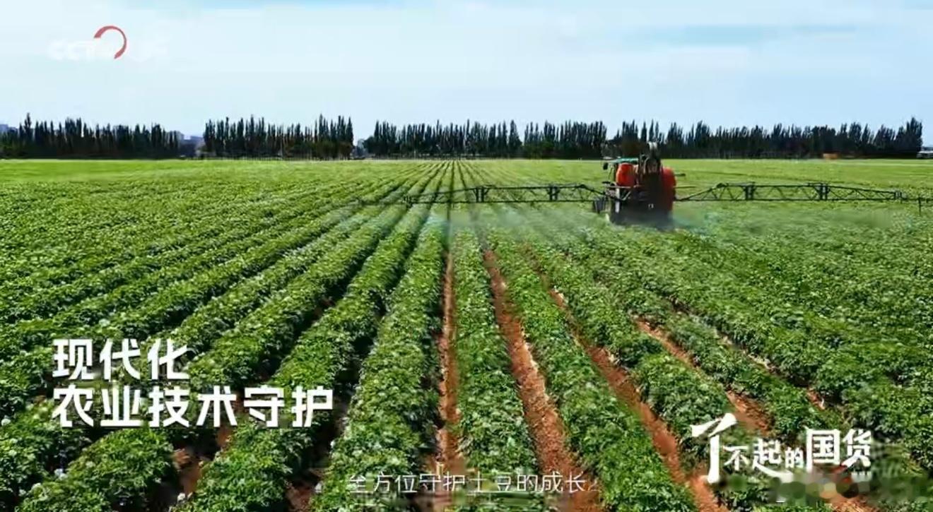 热量不高但饱腹感很强的食物谁能拒绝可比克纯切薯片！优质大西洋马铃薯整薯现切，把控