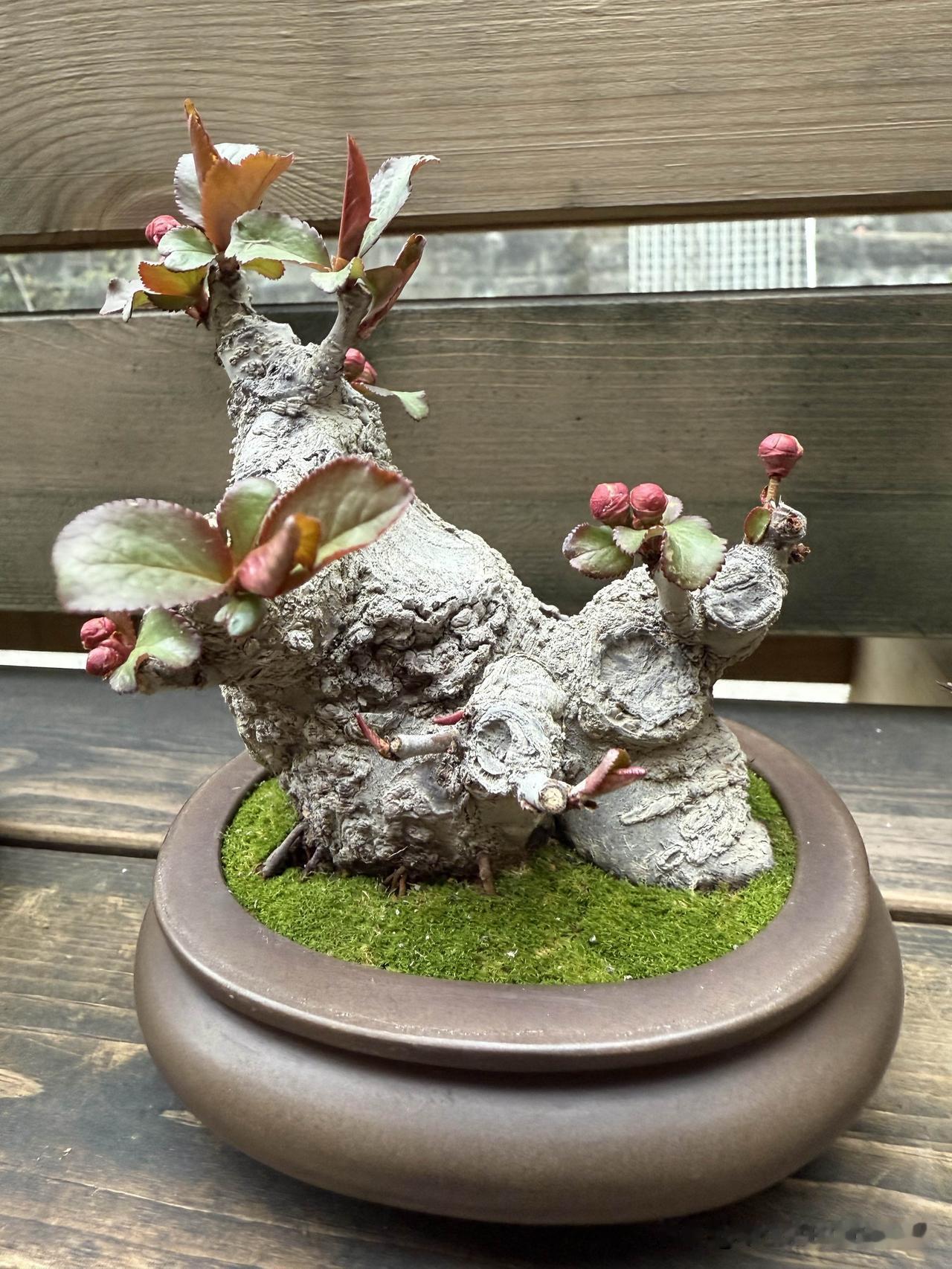 带着善意去生活
生活有很多不测，带着善意去生活，为自己为家人积德，这是一种修养，