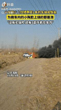 损失大了！

辽宁沈阳，男子开车回乡上坟，当时车停的离坟地比较近，车门也没有关，