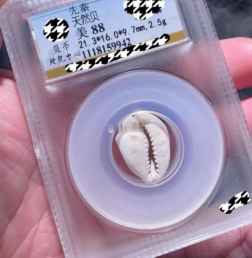 在漫漫4000年中国货币史中，最先出现的是天然贝，后来天然贝（图1图2）不够用了