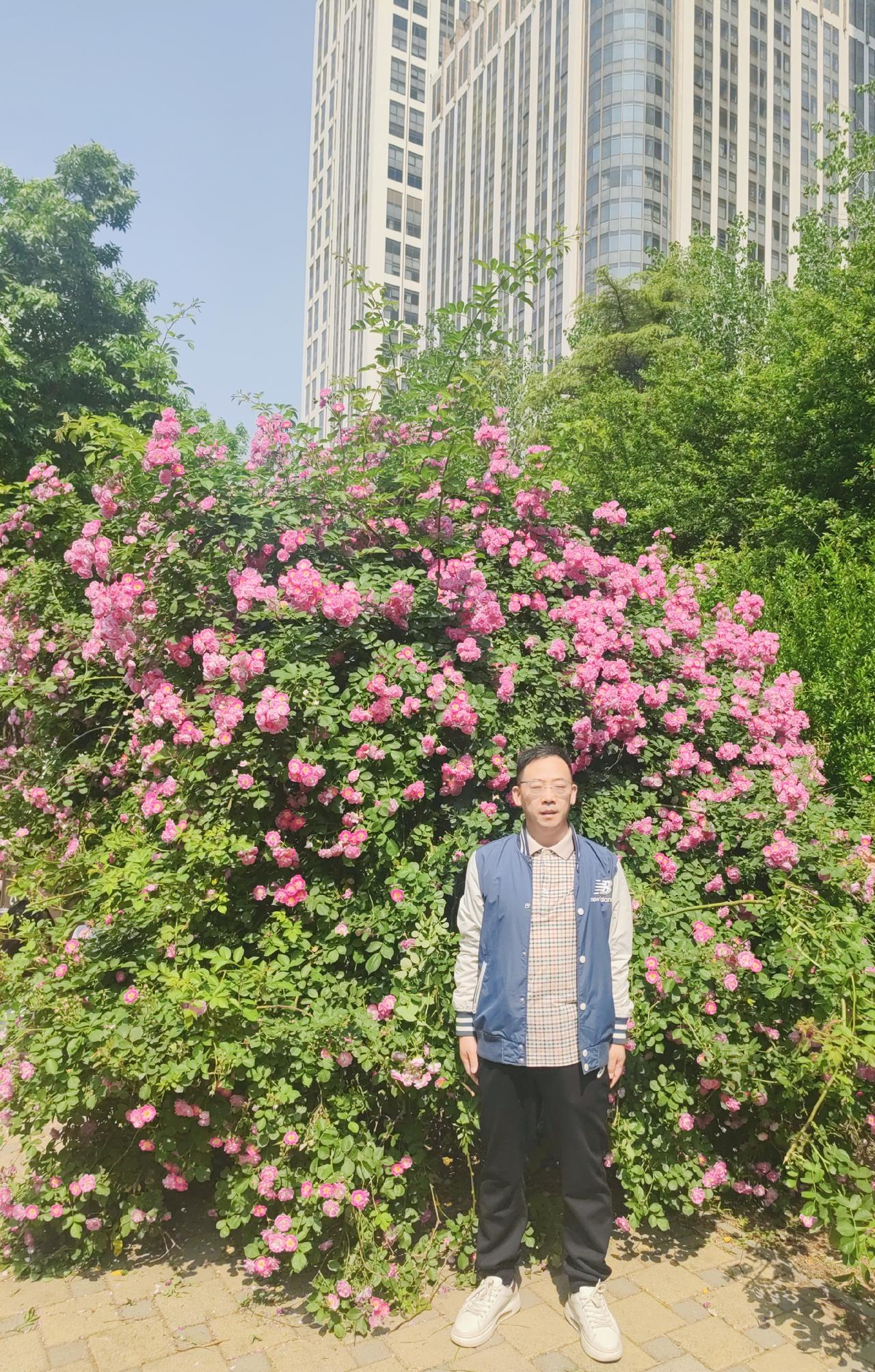 祝大家五一节快乐！好好放松一下，草长莺飞的季节，花墙为幕，来公园听鸟鸣，观花开！