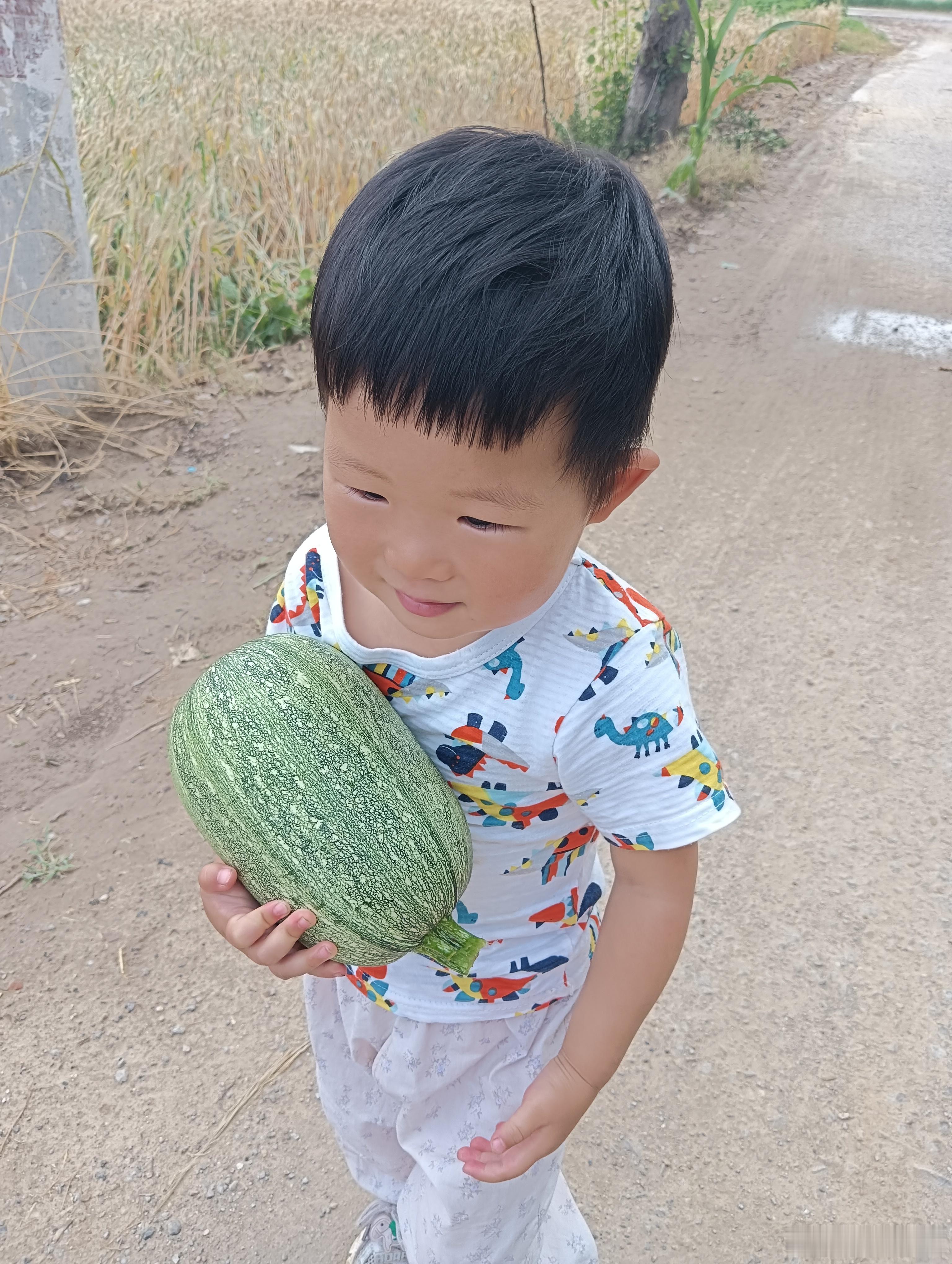 我的西葫芦变成饼啦，现摘现做，老好吃了，新鲜！