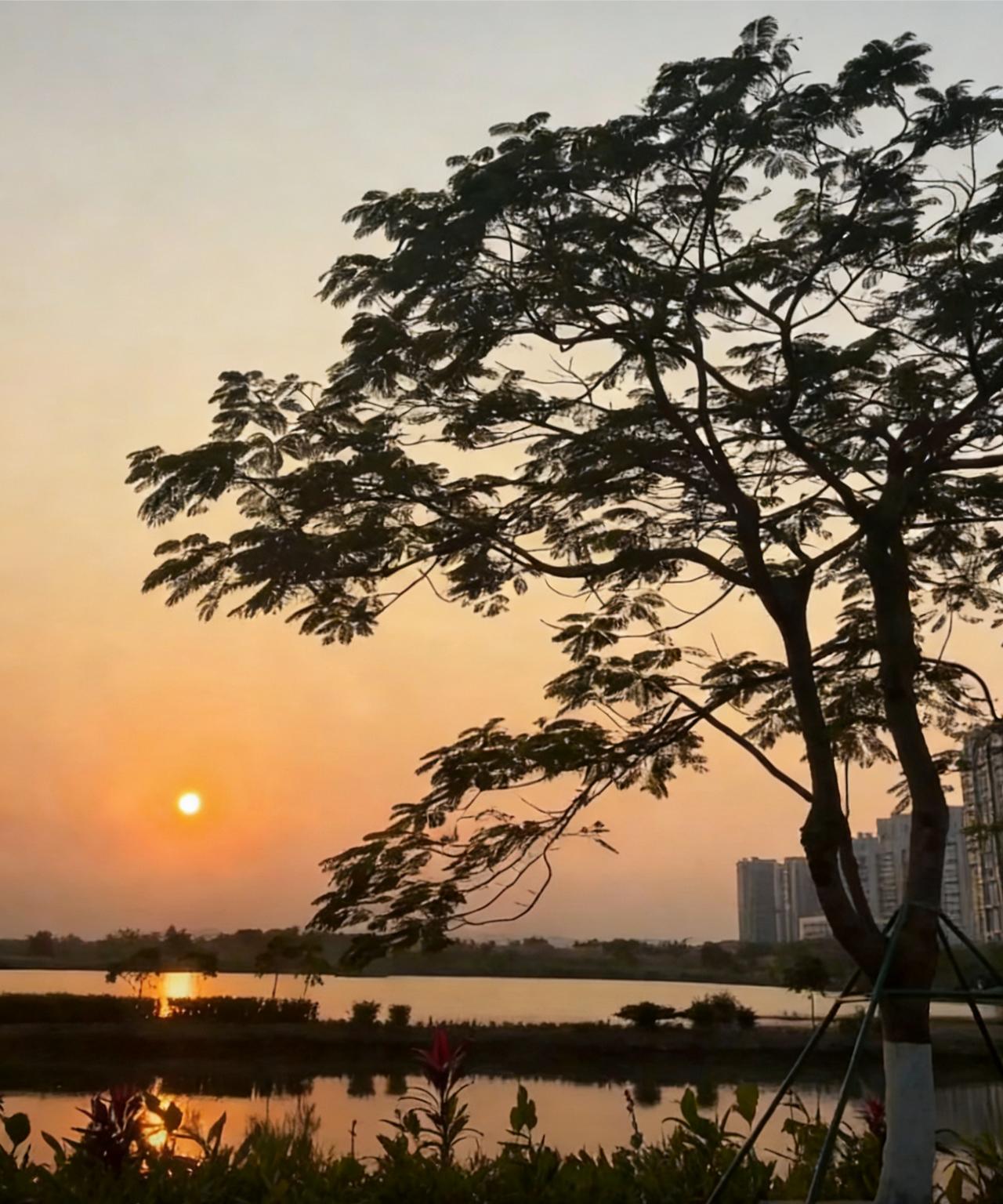 分享一张最近随手拍的照片夕阳西下