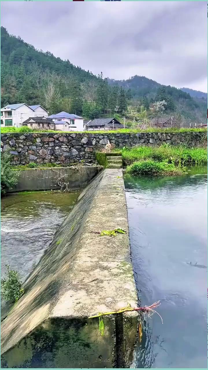 旺仔，我回来了。