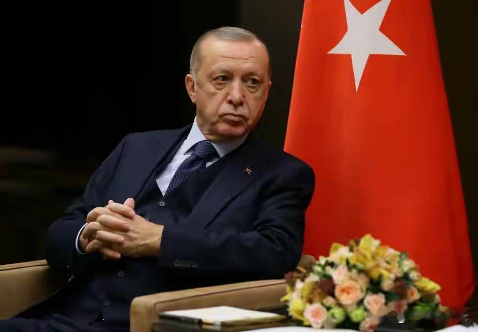 土耳其加入巴沙联盟！这是一个好消息
特朗普入侵委内瑞拉，然后发誓要夺取格陵兰岛，