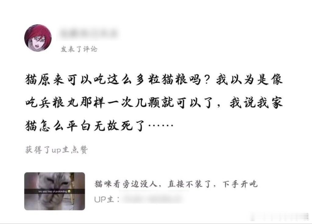 哈基米遇到这种哈基人也是遭老罪了 