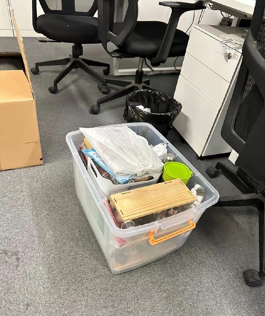 今天被裁员了。签完字回到工位，把杯子、抱枕、几本书塞进收纳箱，抱着箱子走出公司。