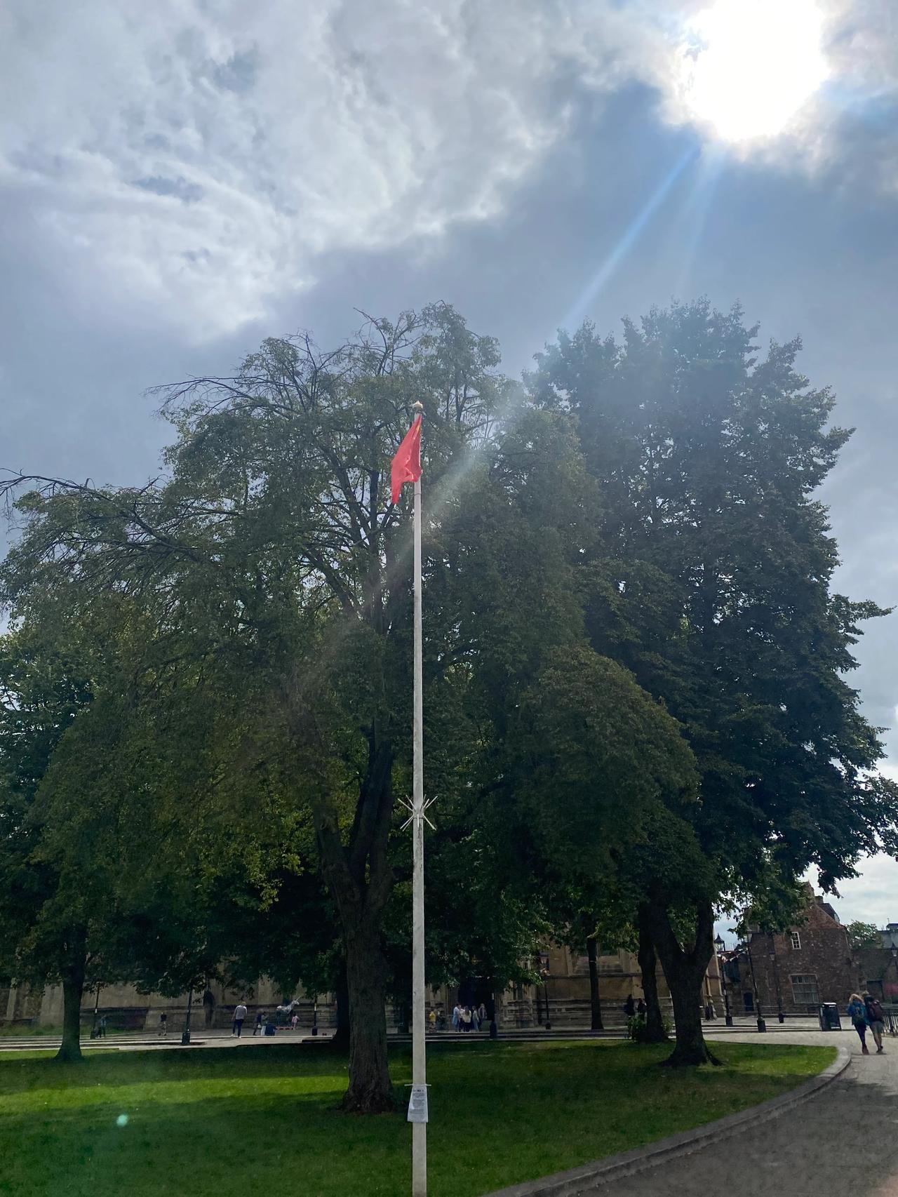 感染了英国新冠毒株，漫无目的走在街上，感觉头都要爆炸了，我甚至感觉自己已经油尽灯