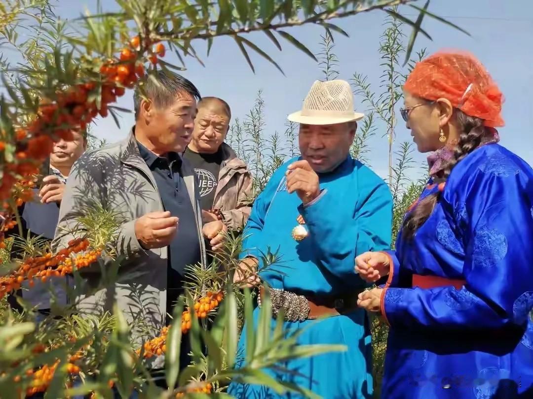 上世纪九十年代，廷懋将军的儿子廷·巴特尔（左一）与牧民研究生态草原问题时的照片。