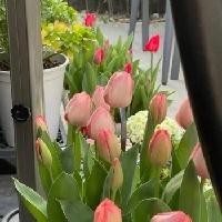我的今日状态：😁轻松愉快
我这里的天气：🌤️多云
天气每天不同，心情也是。