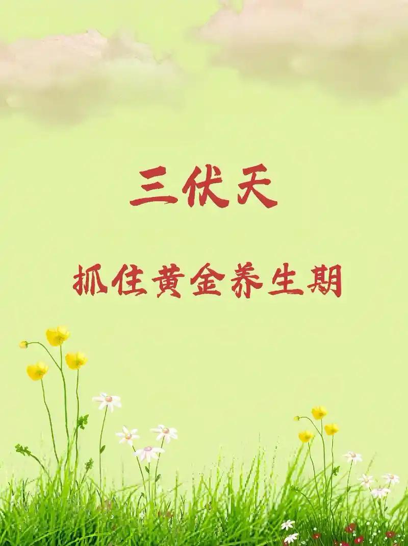 三伏天饮食遵循清热祛湿、少食生冷的原则：
1. 多吃冬瓜、绿豆、丝瓜、薏米等清淡