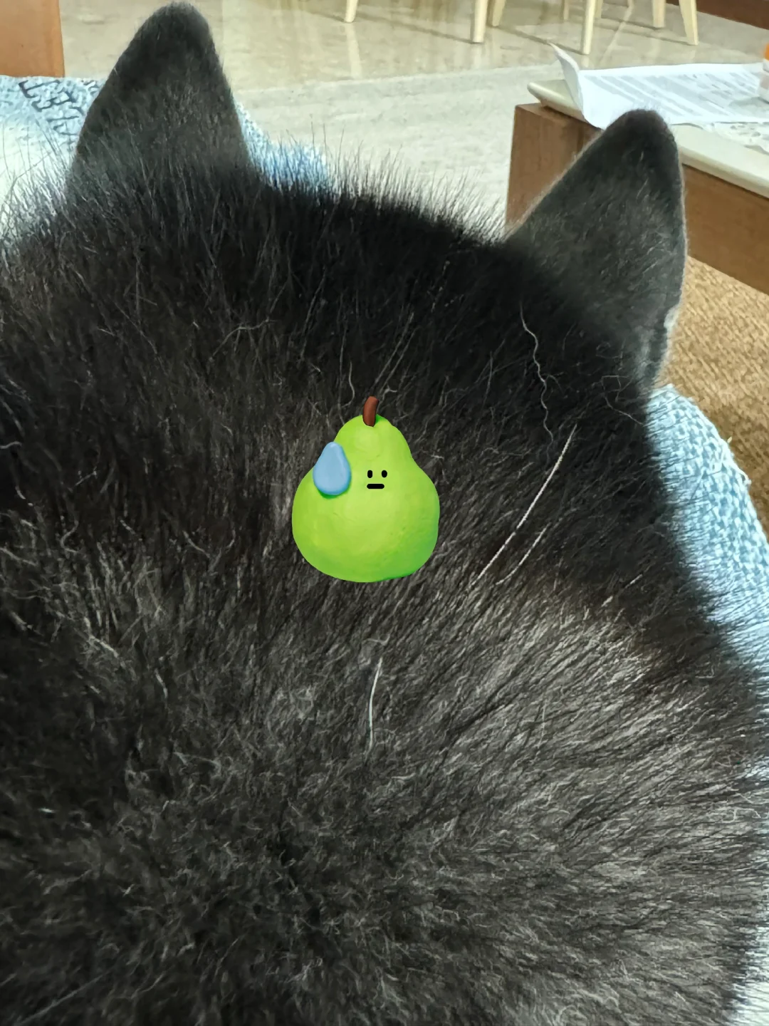 我的小狗怎么长了白头发