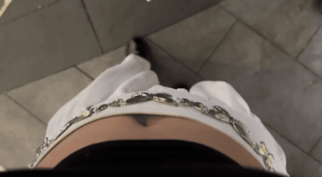 蝴蝶兰花语：吃饱会飞