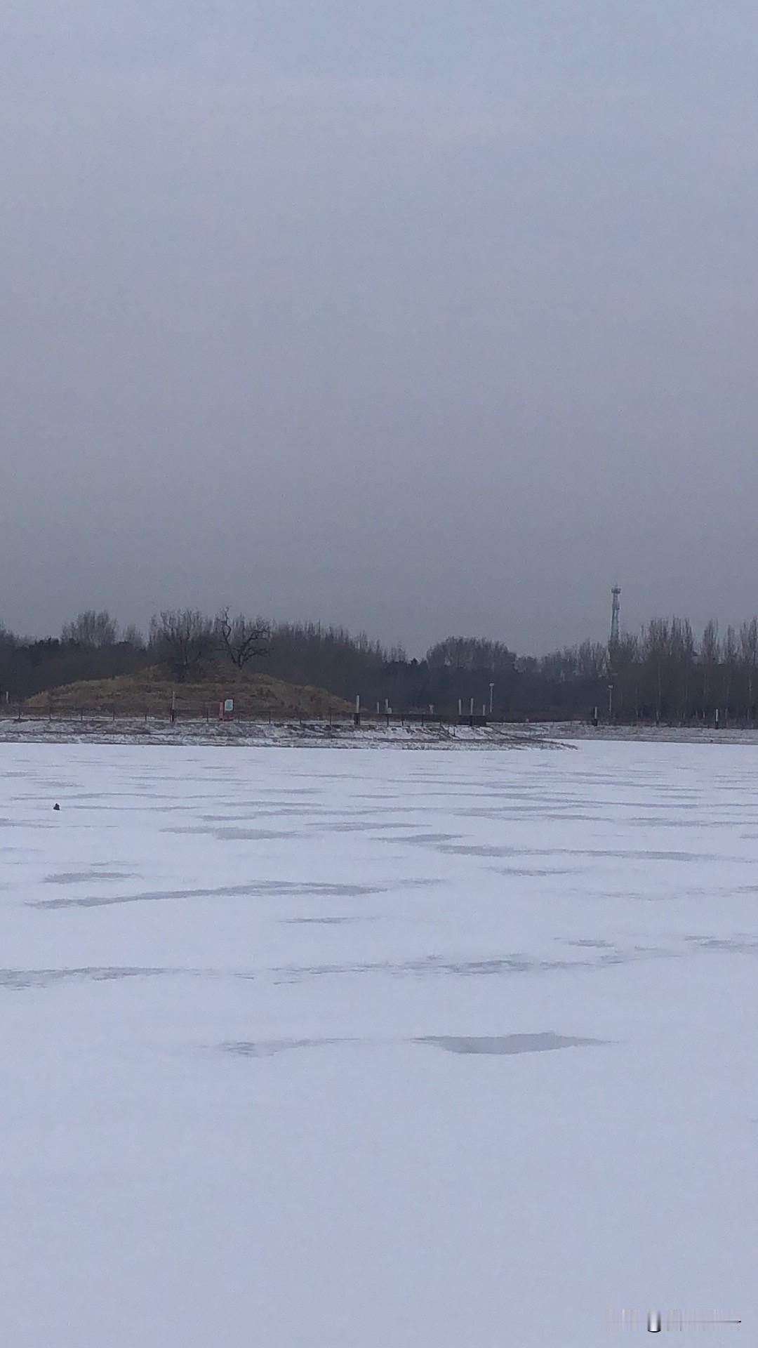 2026春晚主持阵容官宣！6位熟面孔同台，最大惊喜竟是她

2026马年春晚主持