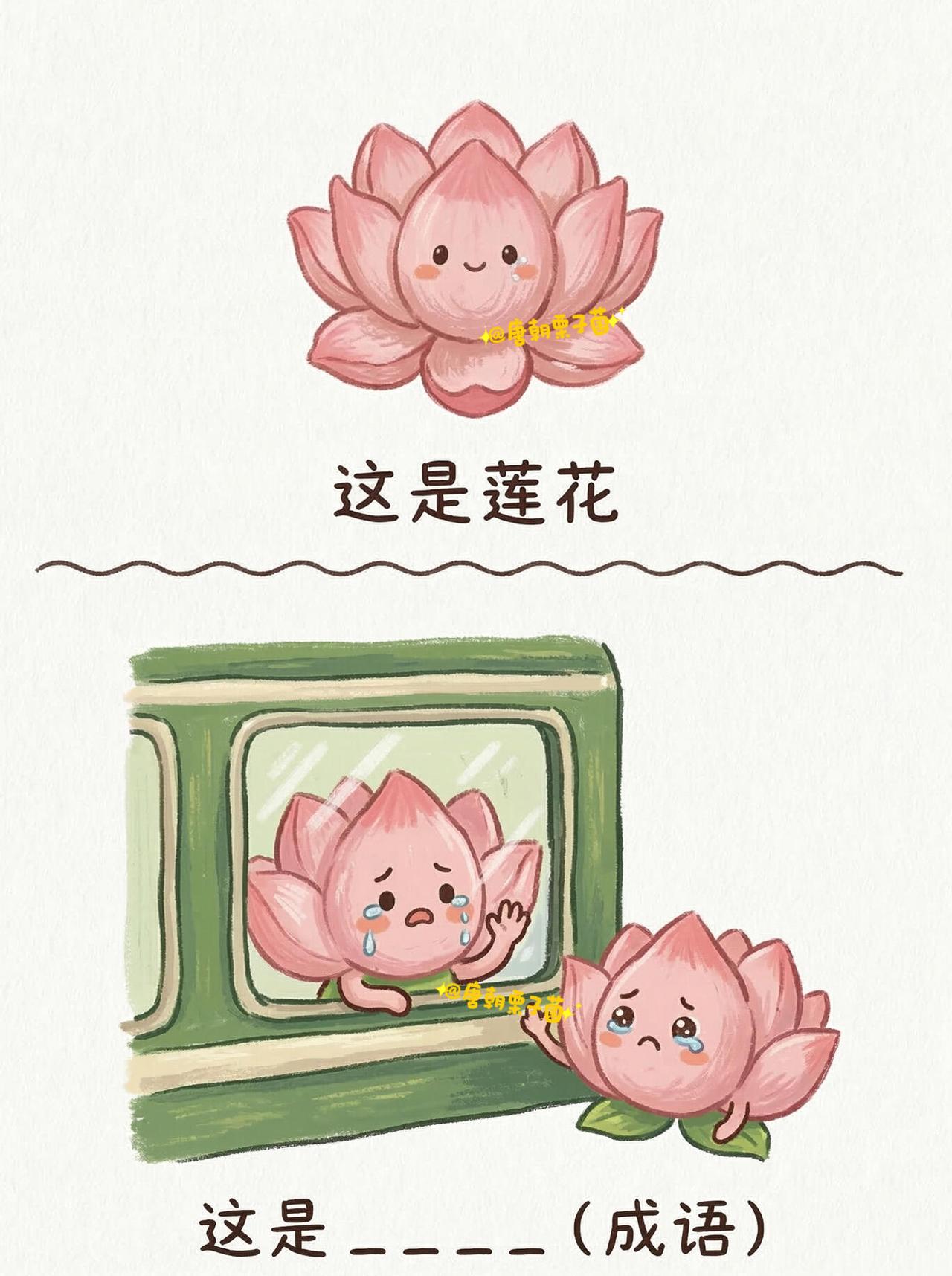 谐音梗看图猜成语（13），快来挑战吧！ 
成语猜猜猜～[星R][星R][星R]