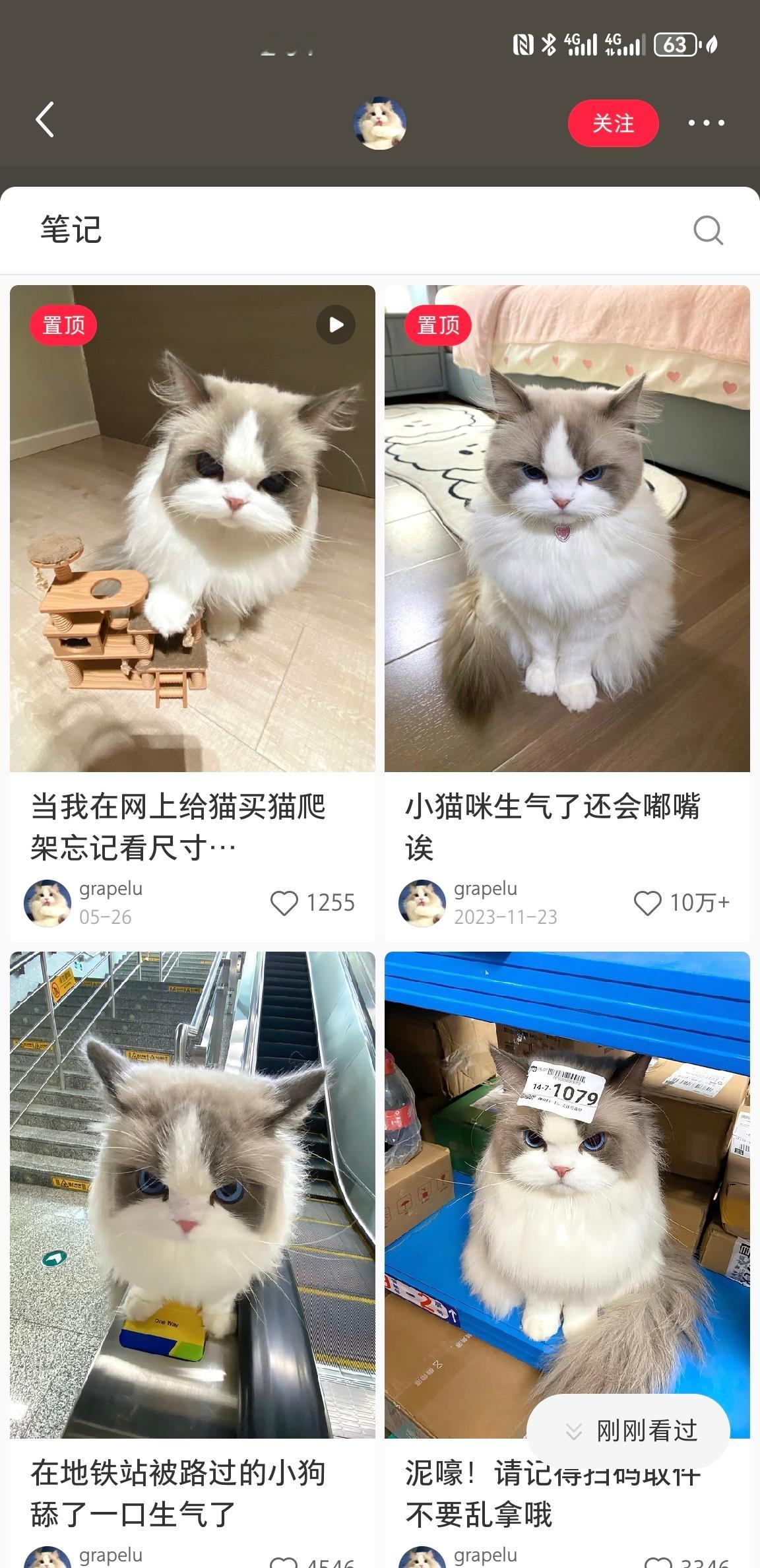 我才刷到这个表情包本猫，眼睛颜色好漂亮