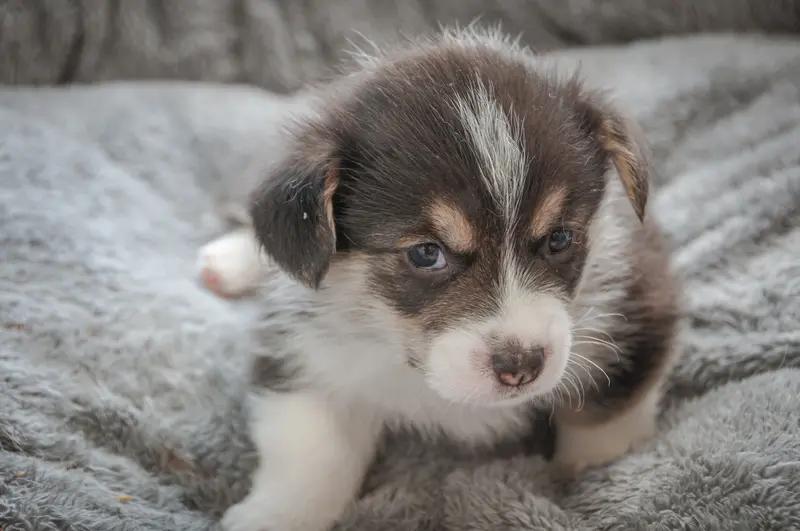 漂亮和善良选哪个，这题太难。选漂亮，出门就是焦点，像大明星，颜值高粉丝多，资源拿