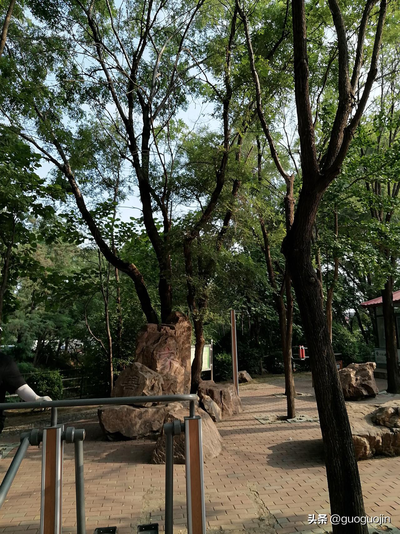几个老朋友八十多岁走了，孩子给买墓地花八九万元，就为了埋个骨灰盒，立个碑㝍个名字
