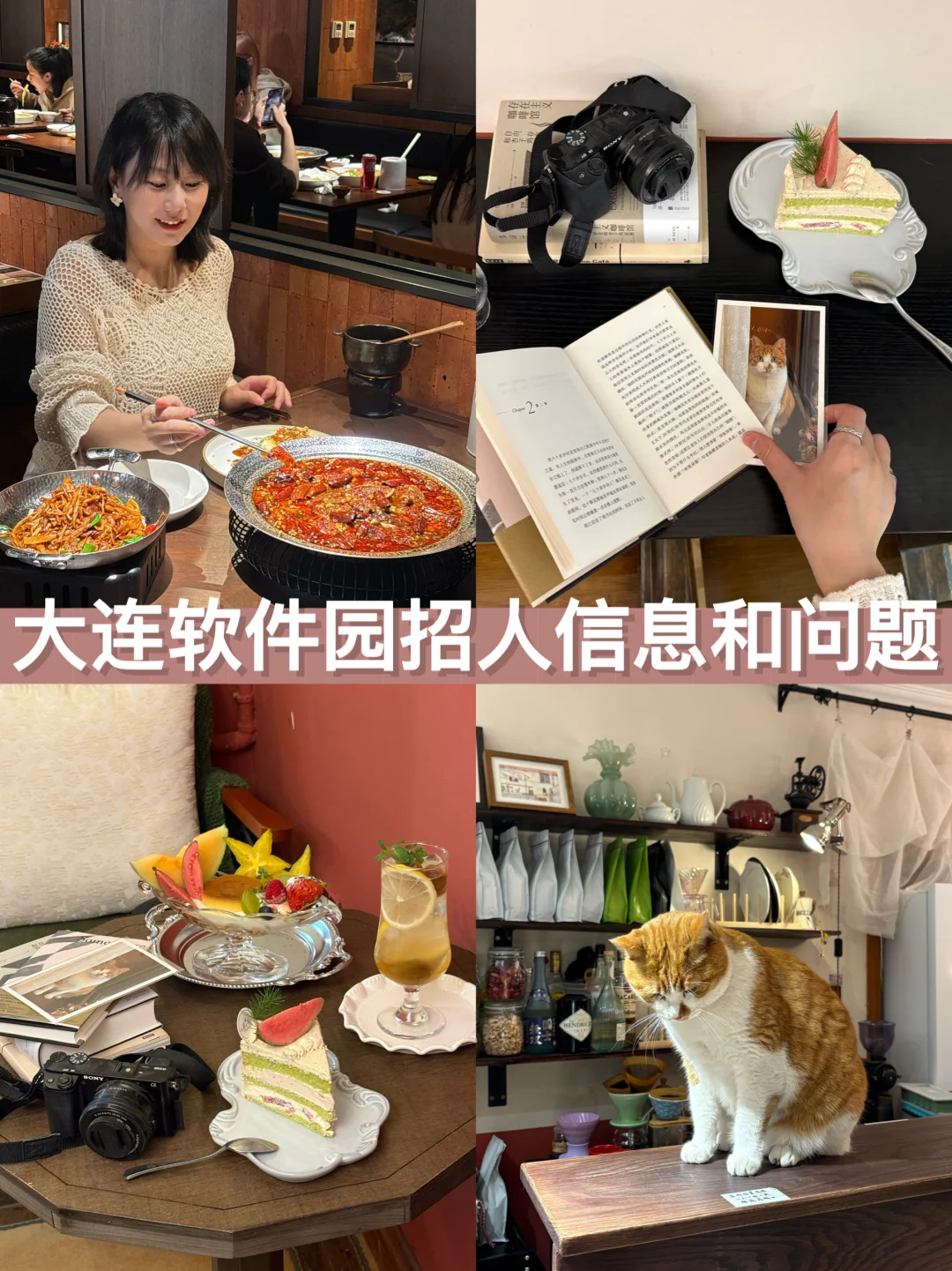 1️⃣化物所科技处招2个程序员，硕士学历（最好是211/985），有事...