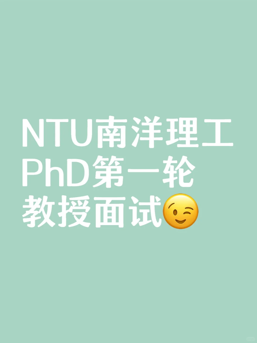 南洋理工PhD 第一轮教授面试