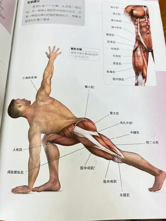 在床上就能做！适合上班族/学生党的拉伸图鉴！ 