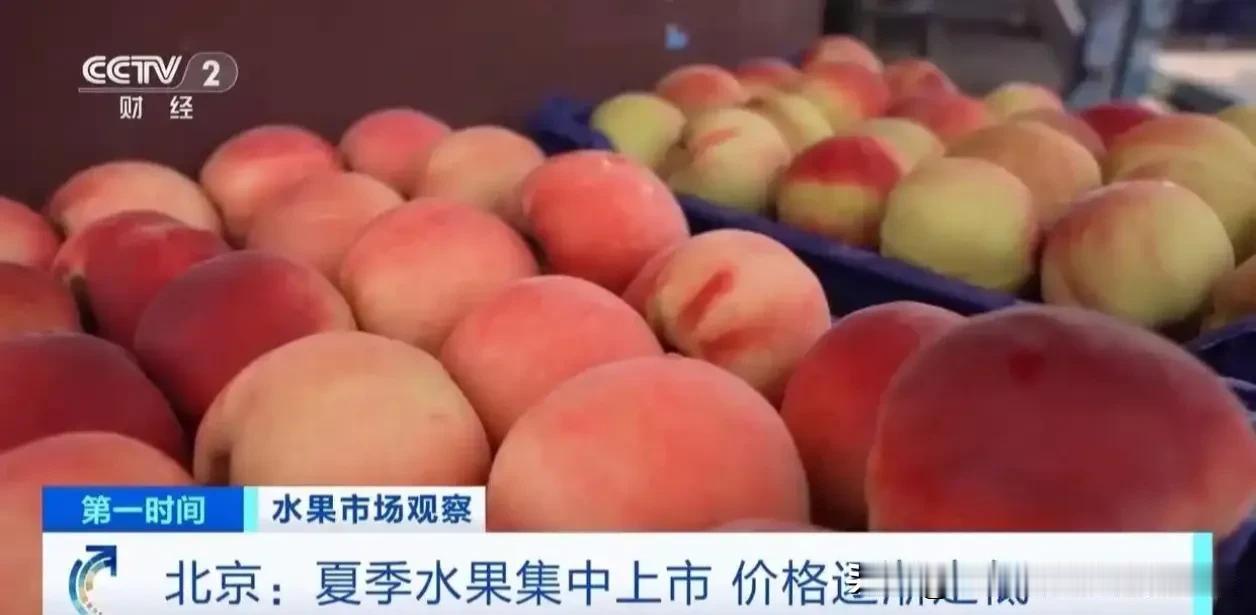 水果自由，真的来了！7月果价大跳水，这波“吃瓜”快乐我先冲为敬

抱着冰镇西瓜吹