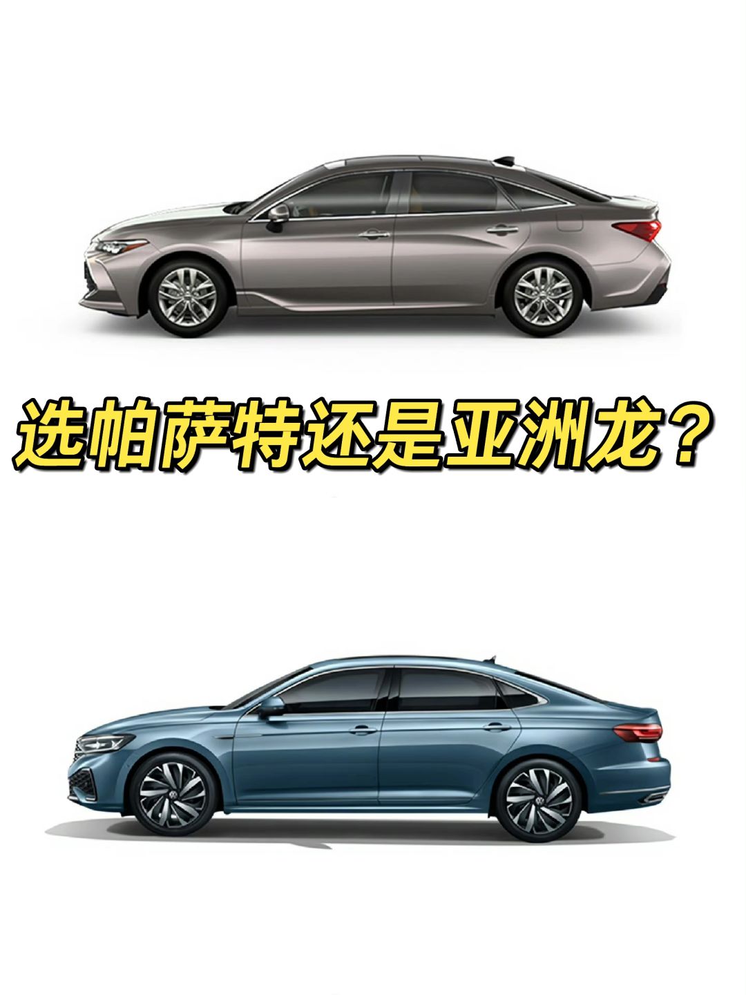 20W，选帕萨特还是亚洲龙？