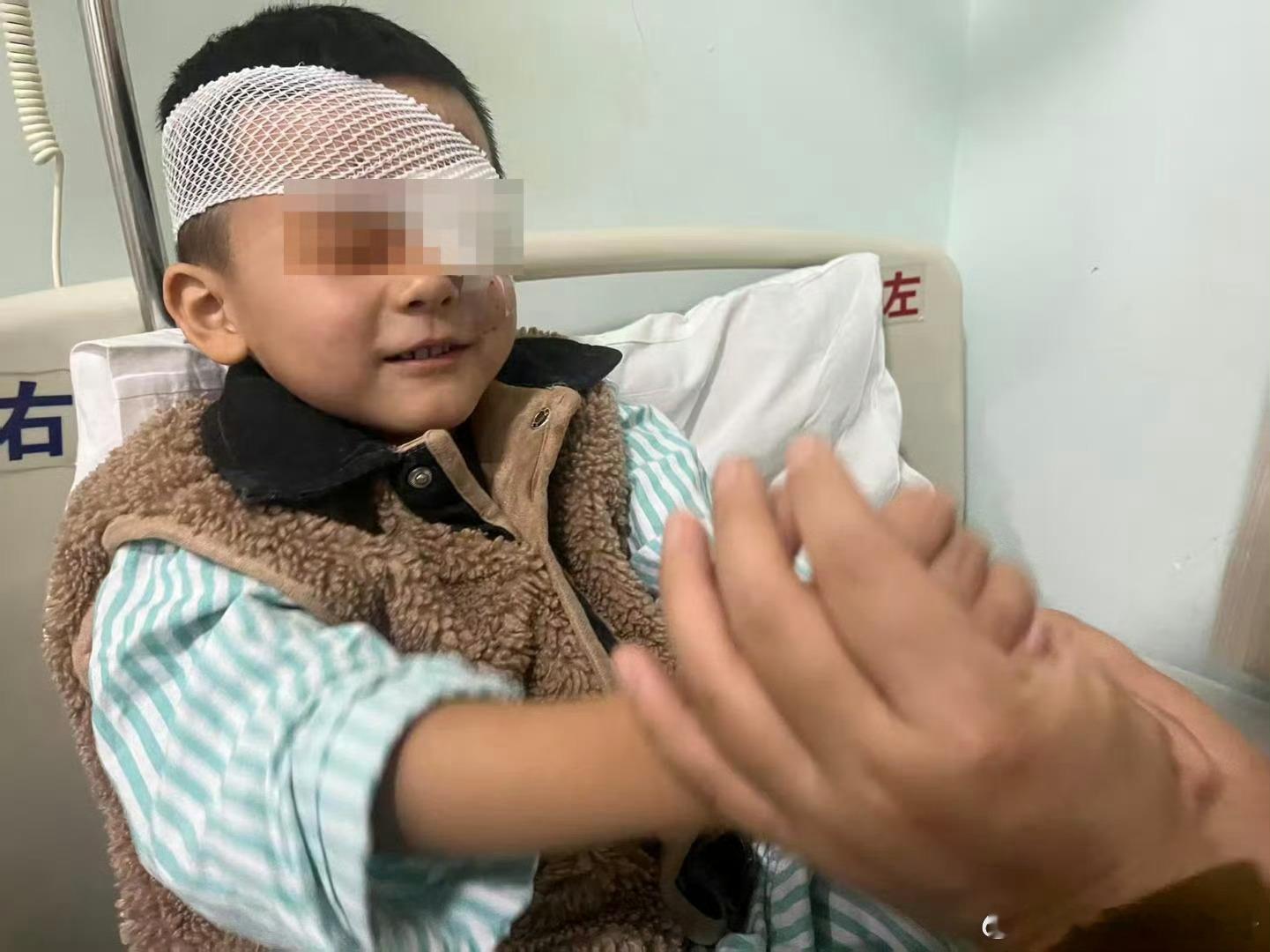 幼儿园被戳伤左眼男孩每晚做噩梦 这场悲剧是基层安全防护网溃败的缩影——教师的愚昧