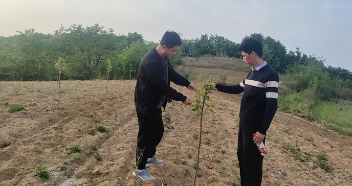 河南鲁山：帮扶村果苗成活率超98% 生态产业铺就振兴路