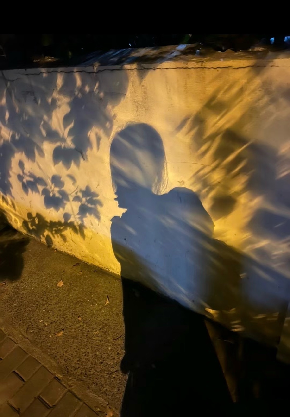 永远不要原谅一个伤害过你的人《那个“明知故犯”的人，不值得你的心软》有一种伤害最