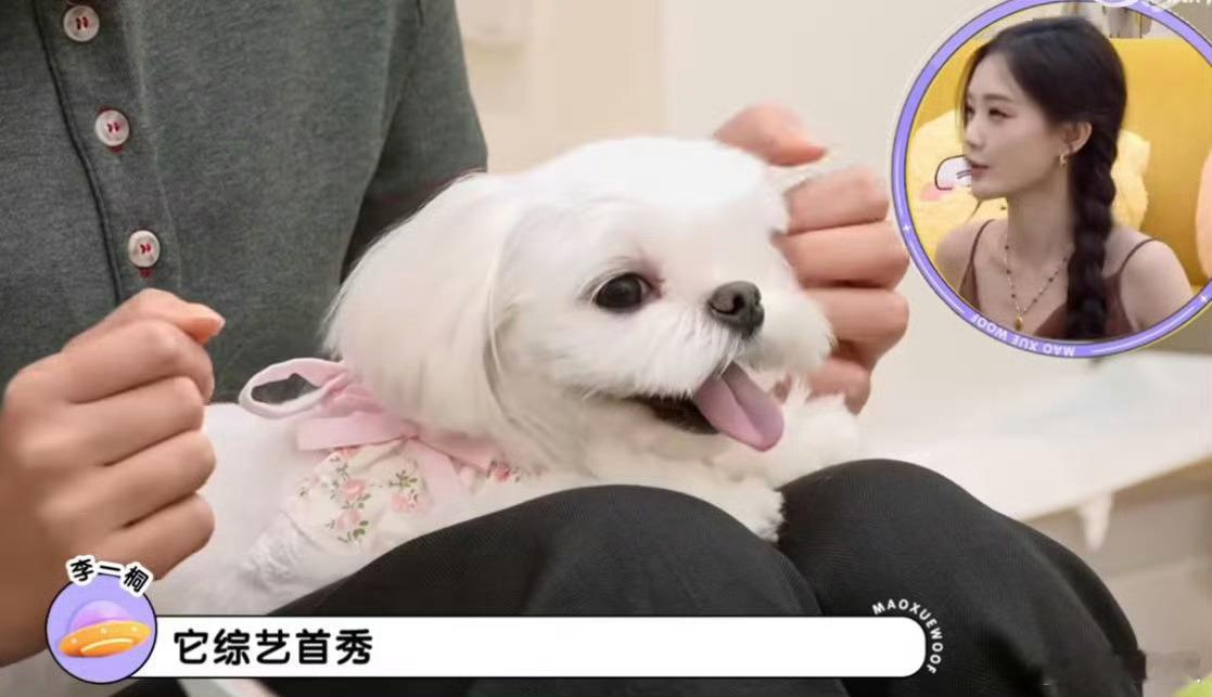 李一桐肉肉的综艺首秀哇噻 李一桐的肉肉也去上综艺了，好可爱！！！萌之萌之～ ​​