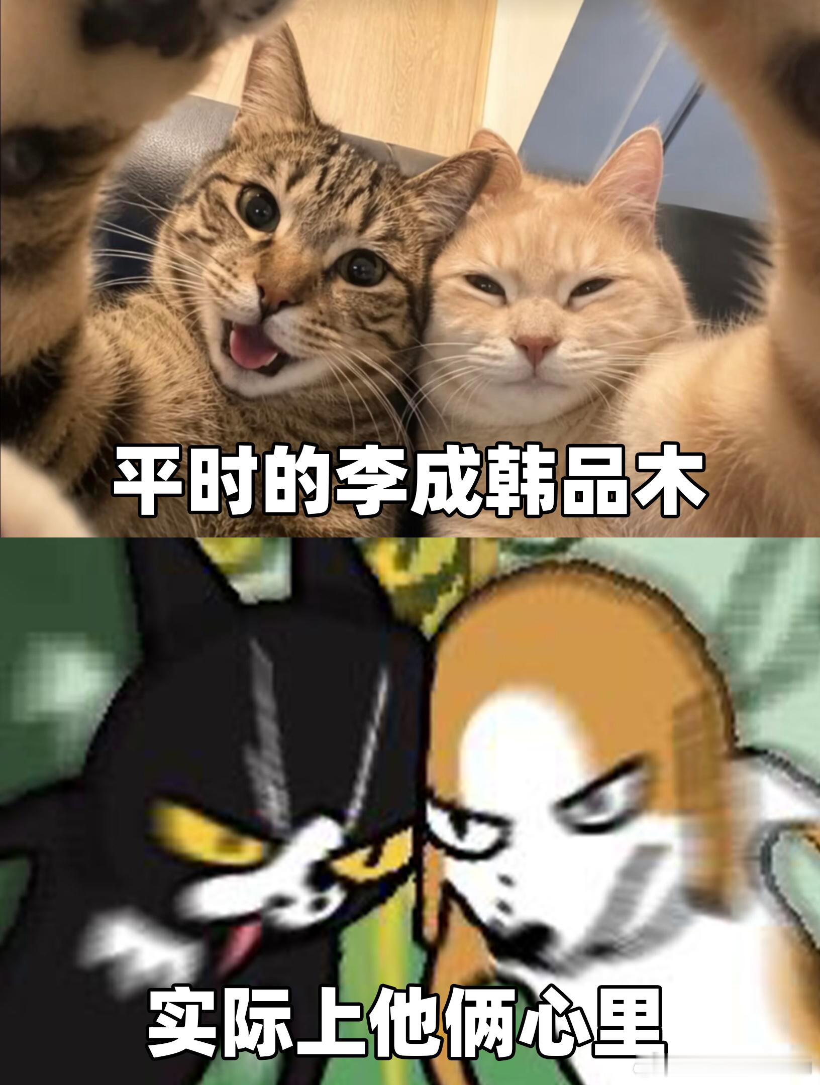 任嘉伦秦俊杰演上无间道了任嘉伦秦俊杰两个人的搭配也是太有趣了，对手过招的感觉也是