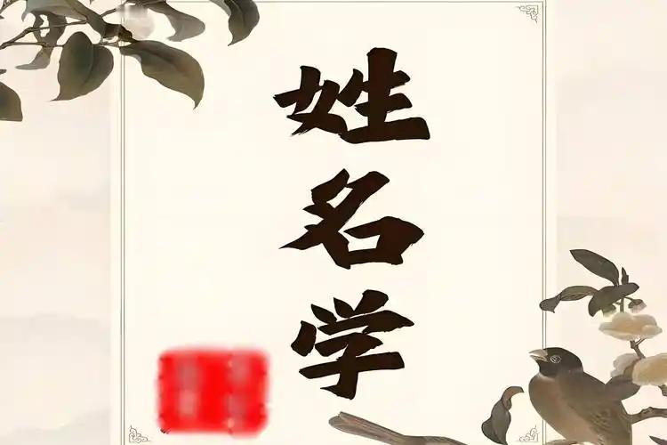 我认为会

因为像他们明星都取艺名，好的名字会让人顺风顺水。
像我们普通人，有些