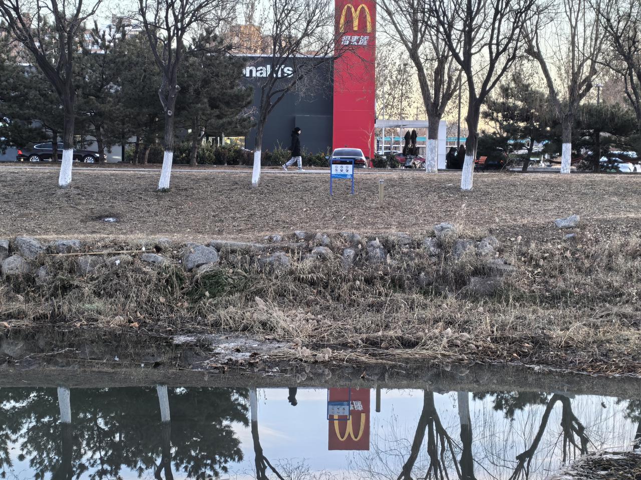 一张图证明秋天来了